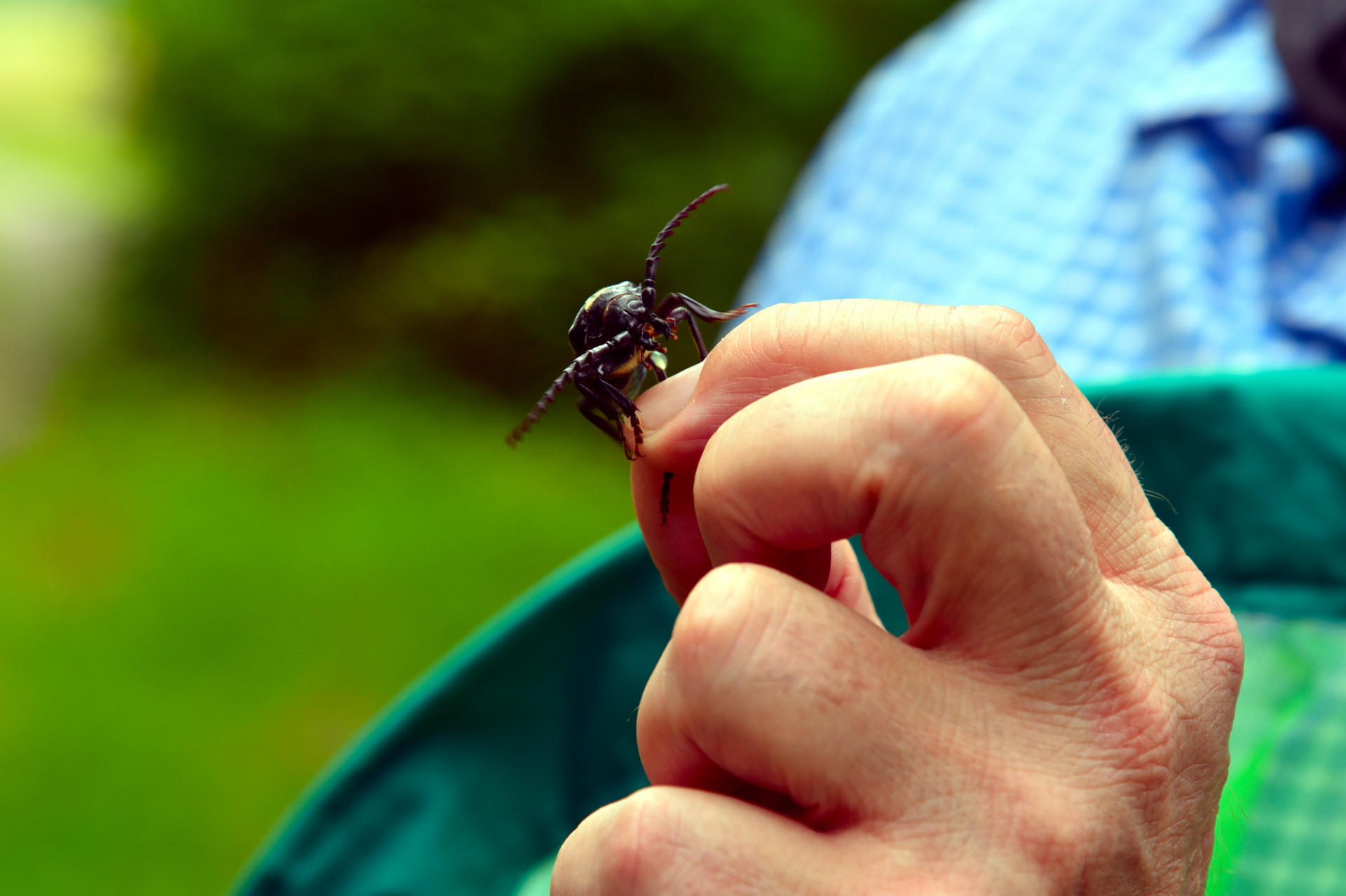 Zu unseren Veranstaltungen